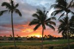 Sunset views from your lanai